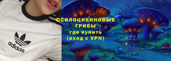 кокс Гусиноозёрск