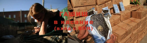 мдпв Гусев