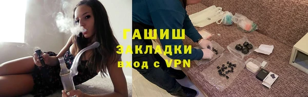 мдпв Гусев