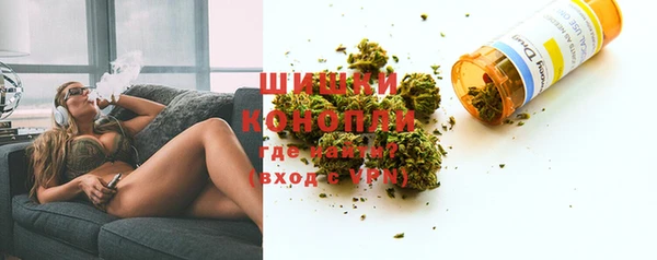 мдпв Гусев