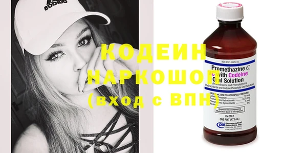 мдпв Гусев