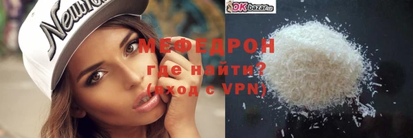мдпв Гусев