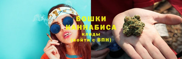 мдпв Гусев
