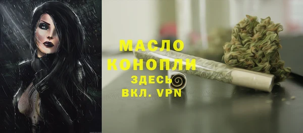 мдпв Гусев