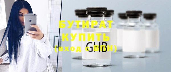 мдпв Гусев