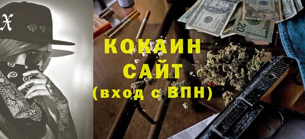 мдпв Гусев