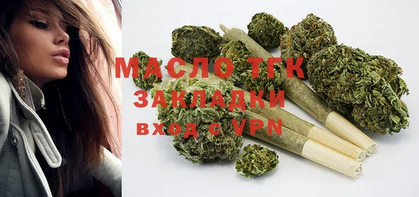 мдпв Гусев