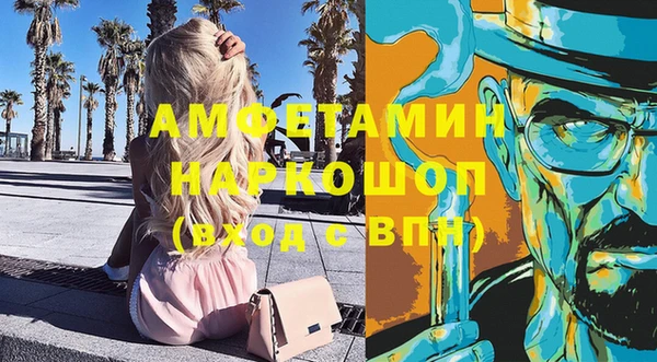 мдпв Гусев