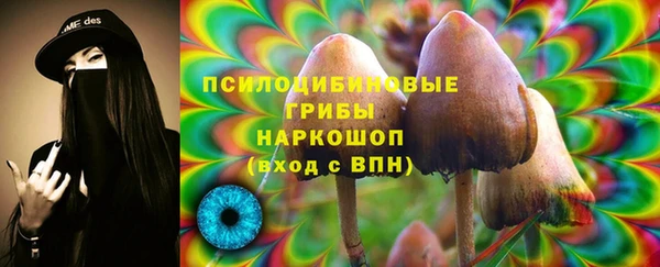 герыч Гусь-Хрустальный
