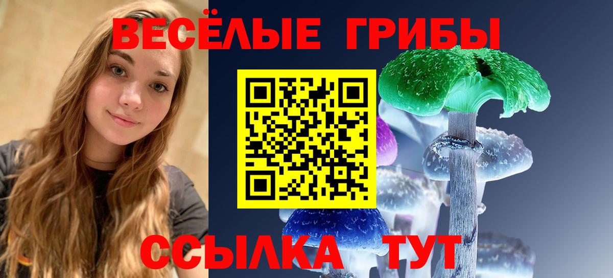 Псилоцибиновые грибы Psilocybe Донецк